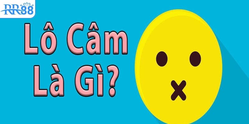 tim-hieu-ve-thuat-ngu-lo-cam