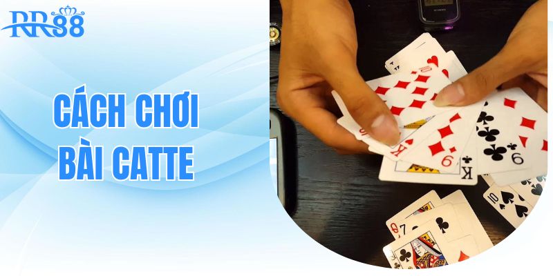cach-choi-bai-catte-phuong-phap-chuan-xac-moi-nhat-2025