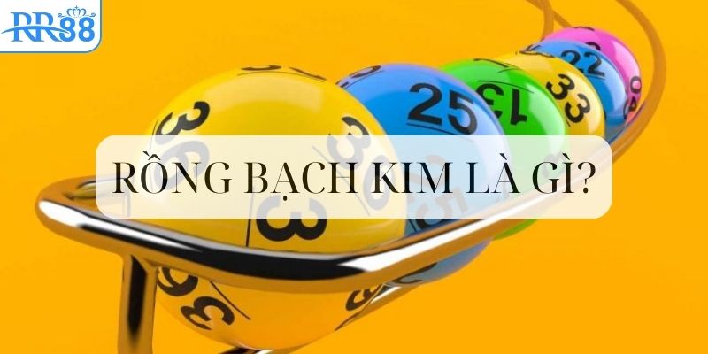 gioi-thieu-chien-thuat-soi-cau-rong-bach-kim