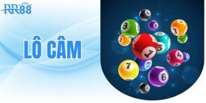 lo-cam-bi-kip-soi-cau-dinh-cao-giup-ban-trung-lon-moi-ngay