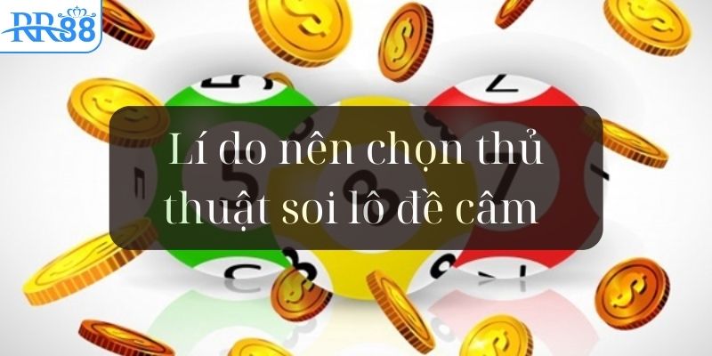 loi-ich-khi-lua-chon-soi-cau-lo-de-cam
