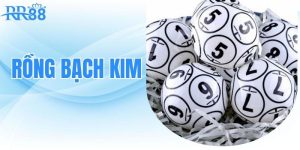 rong-bach-kim-rong-bach-kim-va-nhung-thong-tin-thu-vi-nguoi-choi-can-biet