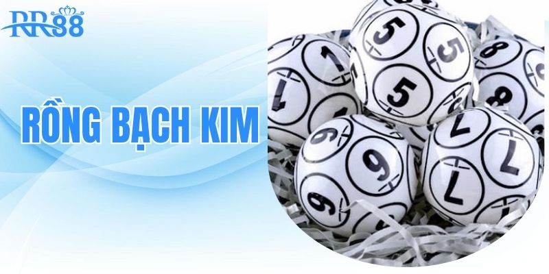 rong-bach-kim-rong-bach-kim-va-nhung-thong-tin-thu-vi-nguoi-choi-can-biet