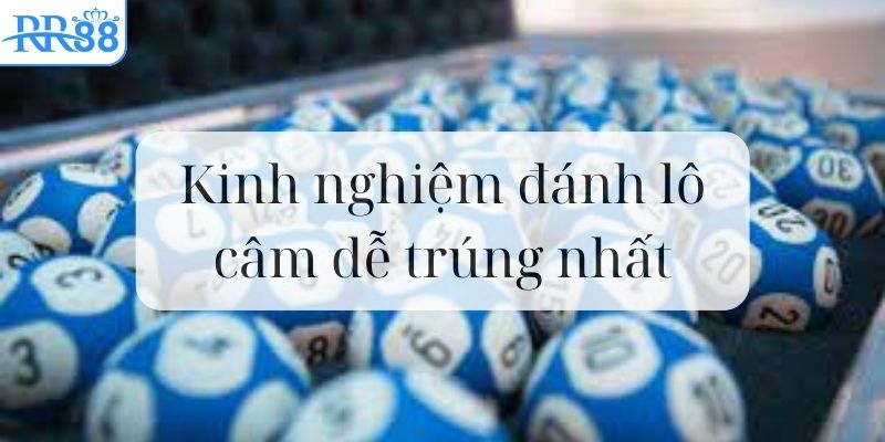 thu-thuat-choi-lo-de-cam-hieu-qua